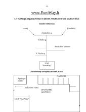 Verslo planas: keleivių vežimo paslaugos UAB "EuroWay" 13 puslapis