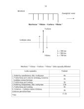 Verslo planas: keleivių vežimo paslaugos UAB "EuroWay" 14 puslapis