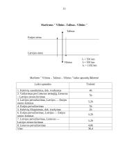 Verslo planas: keleivių vežimo paslaugos UAB "EuroWay" 15 puslapis