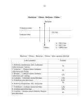 Verslo planas: keleivių vežimo paslaugos UAB "EuroWay" 16 puslapis