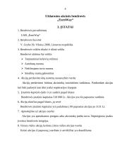 Verslo planas: keleivių vežimo paslaugos UAB "EuroWay" 4 puslapis