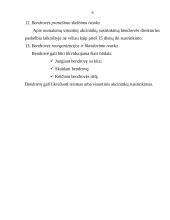 Verslo planas: keleivių vežimo paslaugos UAB "EuroWay" 6 puslapis