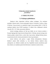 Verslo planas: keleivių vežimo paslaugos UAB "EuroWay" 8 puslapis