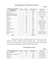 Verslo planas: kirpykla IĮ "Aušrinė" 13 puslapis