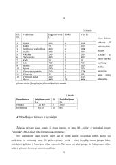 Verslo planas: kirpykla IĮ "Pas Daivą" 12 puslapis