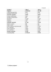 Verslo planas: kirpykla IĮ "Pas Daivą" 19 puslapis