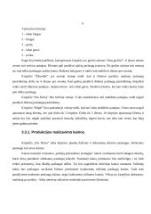 Verslo planas: kirpykla IĮ "Pas Daivą" 7 puslapis