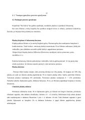 Verslo planas: kirpykla IĮ "Pas Daivą" 10 puslapis