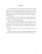 Verslo planas: krovinių gabenimas UAB "TRANSLogistic" 2 puslapis