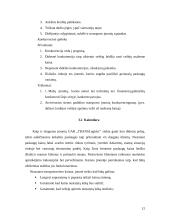 Verslo planas: krovinių gabenimas UAB "TRANSLogistic" 12 puslapis