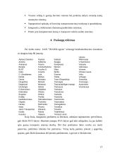 Verslo planas: krovinių gabenimas UAB "TRANSLogistic" 13 puslapis