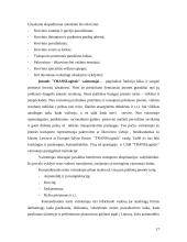 Verslo planas: krovinių gabenimas UAB "TRANSLogistic" 17 puslapis