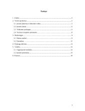 Verslo planas: krovinių gabenimas UAB "TRANSLogistic" 3 puslapis