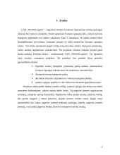 Verslo planas: krovinių gabenimas UAB "TRANSLogistic" 4 puslapis