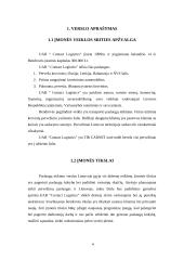 Verslo planas: krovinių pervežimas UAB "Contact Logistics" 3 puslapis
