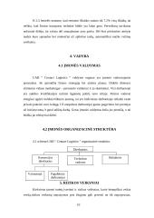 Verslo planas: krovinių pervežimas UAB "Contact Logistics" 9 puslapis