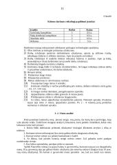 Verslo planas: langų sandarinimo paslaugos IĮ "Auronas" 11 puslapis