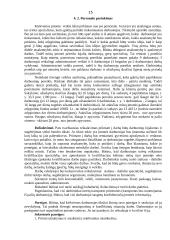 Verslo planas: langų sandarinimo paslaugos IĮ "Auronas" 15 puslapis