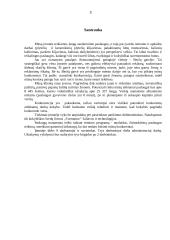 Verslo planas: langų sandarinimo paslaugos IĮ "Auronas" 3 puslapis