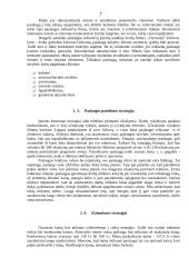 Verslo planas: langų sandarinimo paslaugos IĮ "Auronas" 7 puslapis