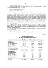 Verslo planas: langų sandarinimo paslaugos IĮ "Auronas" 8 puslapis