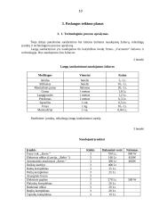 Verslo planas: langų sandarinimo paslaugos IĮ "Auronas" 10 puslapis