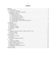 Verslo planas: masažo kabinetas IĮ "TERA" 2 puslapis