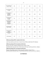 Verslo planas: masažo kabinetas IĮ "TERA" 11 puslapis
