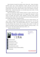 Verslo planas: masažo kabinetas IĮ "TERA" 12 puslapis