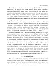 Verslo planas: masažo kabinetas IĮ "TERA" 14 puslapis