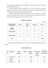 Verslo planas: masažo kabinetas IĮ "TERA" 16 puslapis