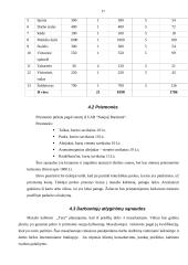 Verslo planas: masažo kabinetas IĮ "TERA" 17 puslapis