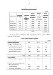 Verslo planas: masažo kabinetas IĮ "TERA" 18 puslapis