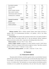 Verslo planas: masažo kabinetas IĮ "TERA" 19 puslapis