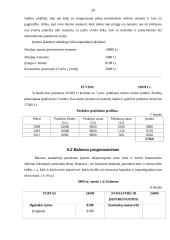 Verslo planas: masažo kabinetas IĮ "TERA" 20 puslapis