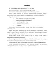 Verslo planas: masažo kabinetas IĮ "TERA" 3 puslapis