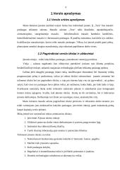 Verslo planas: masažo kabinetas IĮ "TERA" 4 puslapis