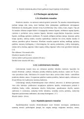 Verslo planas: masažo kabinetas IĮ "TERA" 5 puslapis