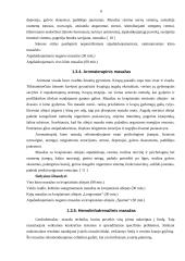 Verslo planas: masažo kabinetas IĮ "TERA" 6 puslapis