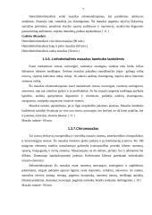 Verslo planas: masažo kabinetas IĮ "TERA" 7 puslapis