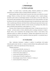 Verslo planas: masažo kabinetas IĮ "TERA" 8 puslapis