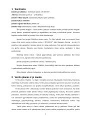 Verslo planas: mažmeninė prekyba sporto prekėmis IĮ "Startas" 2 puslapis