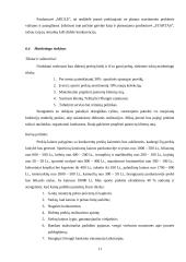 Verslo planas: mažmeninė prekyba sporto prekėmis IĮ "Startas" 11 puslapis