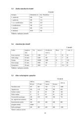 Verslo planas: mažmeninė prekyba sporto prekėmis IĮ "Startas" 16 puslapis