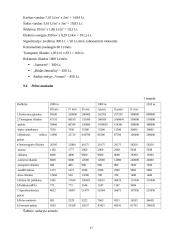 Verslo planas: mažmeninė prekyba sporto prekėmis IĮ "Startas" 17 puslapis