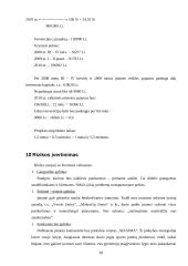 Verslo planas: mažmeninė prekyba sporto prekėmis IĮ "Startas" 20 puslapis