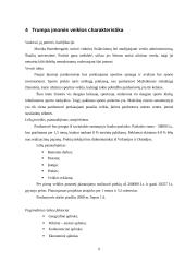 Verslo planas: mažmeninė prekyba sporto prekėmis IĮ "Startas" 6 puslapis