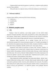 Verslo planas: mažmeninė prekyba sporto prekėmis IĮ "Startas" 8 puslapis