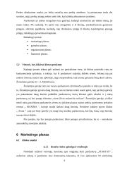 Verslo planas: mažmeninė prekyba sporto prekėmis IĮ "Startas" 9 puslapis