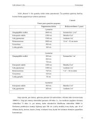 Verslo planas: medienos gaminiai UAB "Hesora" 16 puslapis